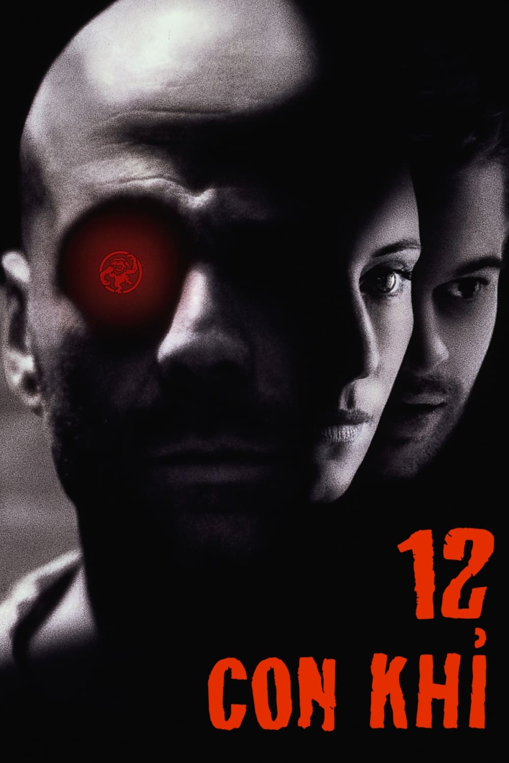 Poster phim 12 Con Khỉ