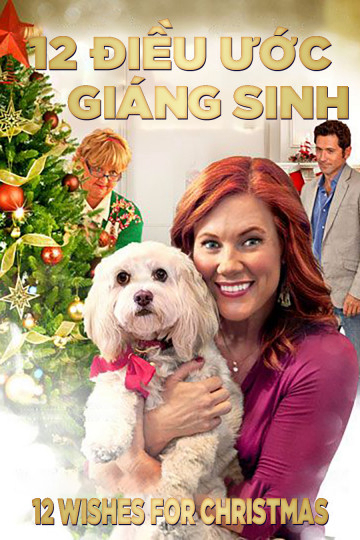 Poster phim 12 Điều Ước Giáng Sinh
