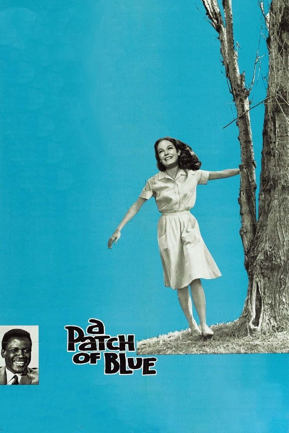 Poster phim A Patch of Blue