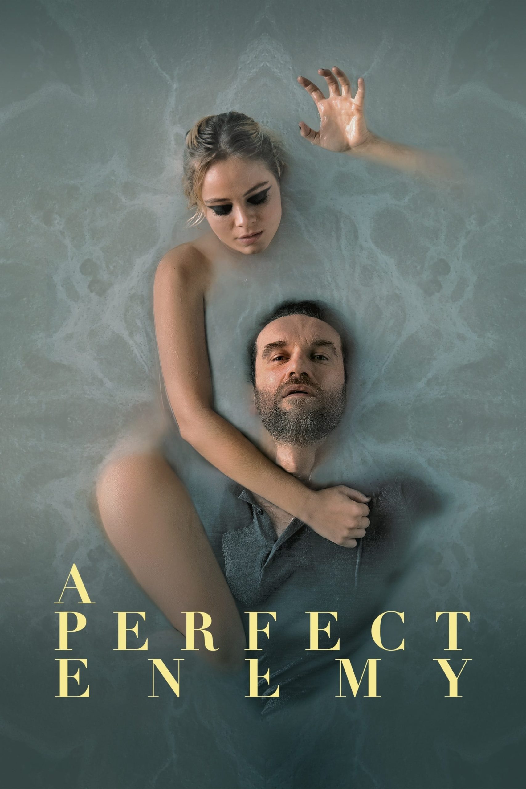 Poster phim A Perfect Enemy