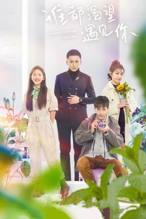 Poster phim Ai Cũng Khao Khát Được Gặp Em