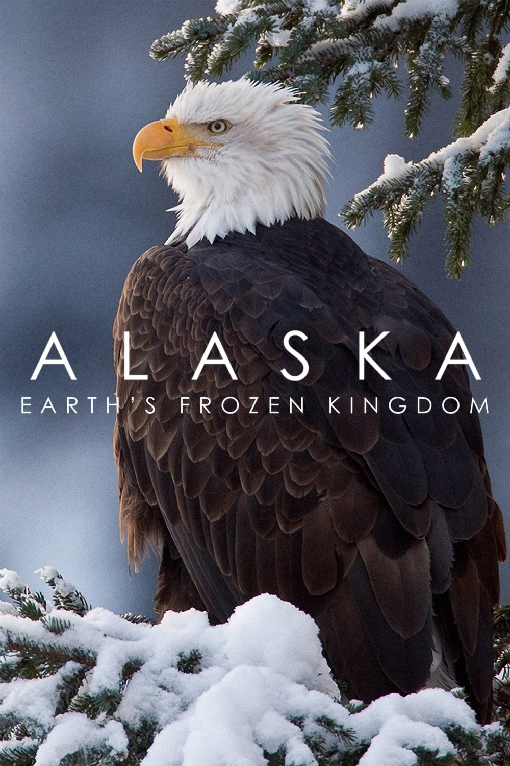 Poster phim Alaska: Vương Quốc Băng Giá