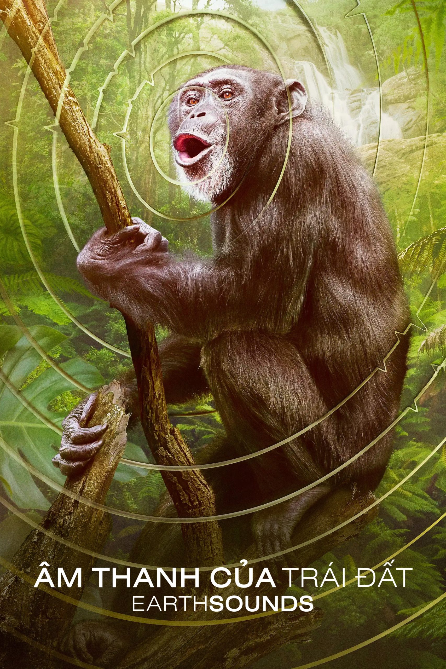 Poster phim Âm Thanh Của Trái Đất – Earthsounds