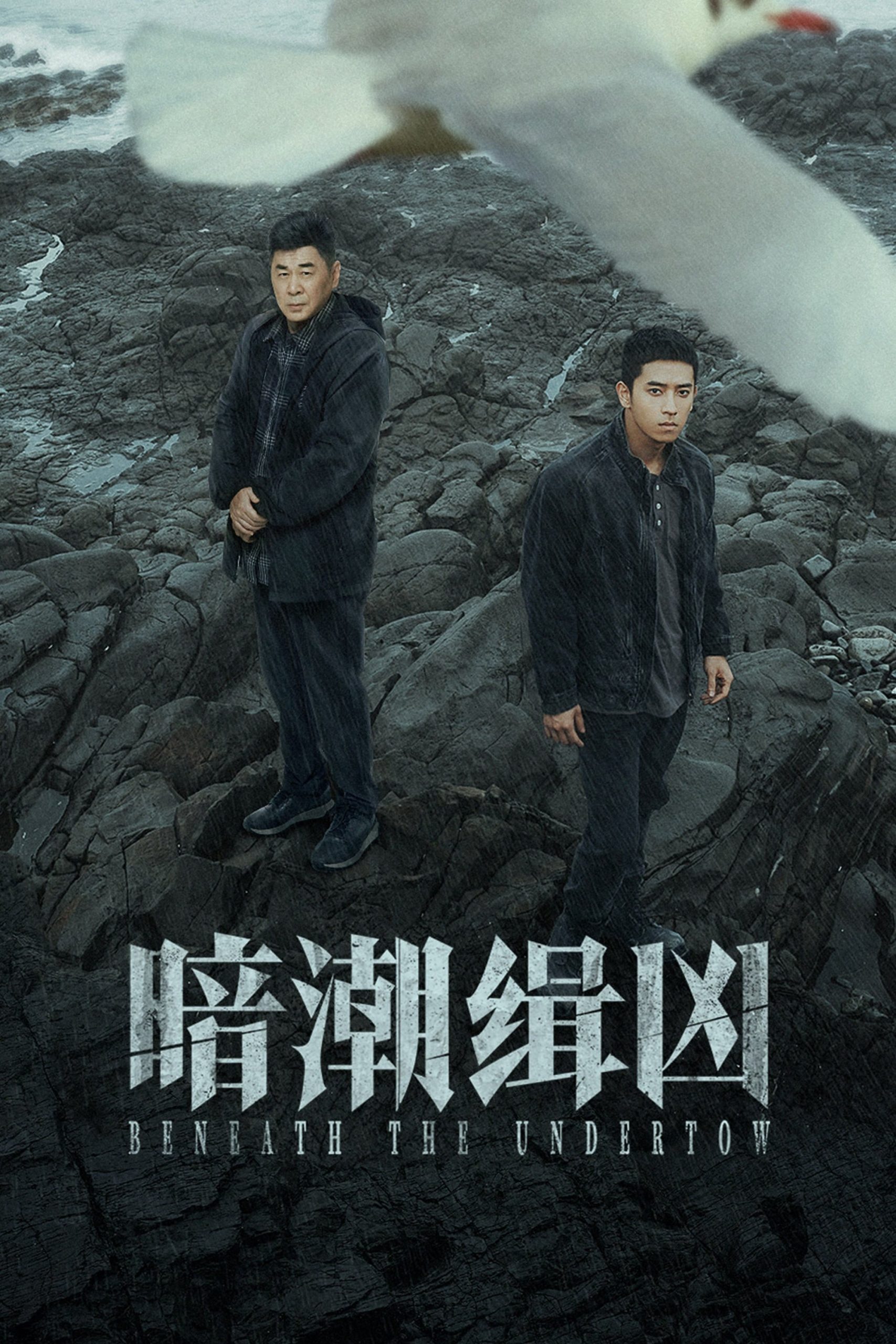 Poster phim Ám Triều Tập Hung