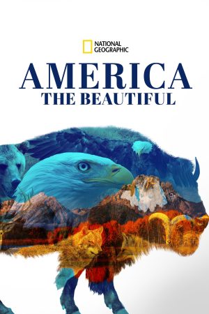 Poster phim America the Beautiful