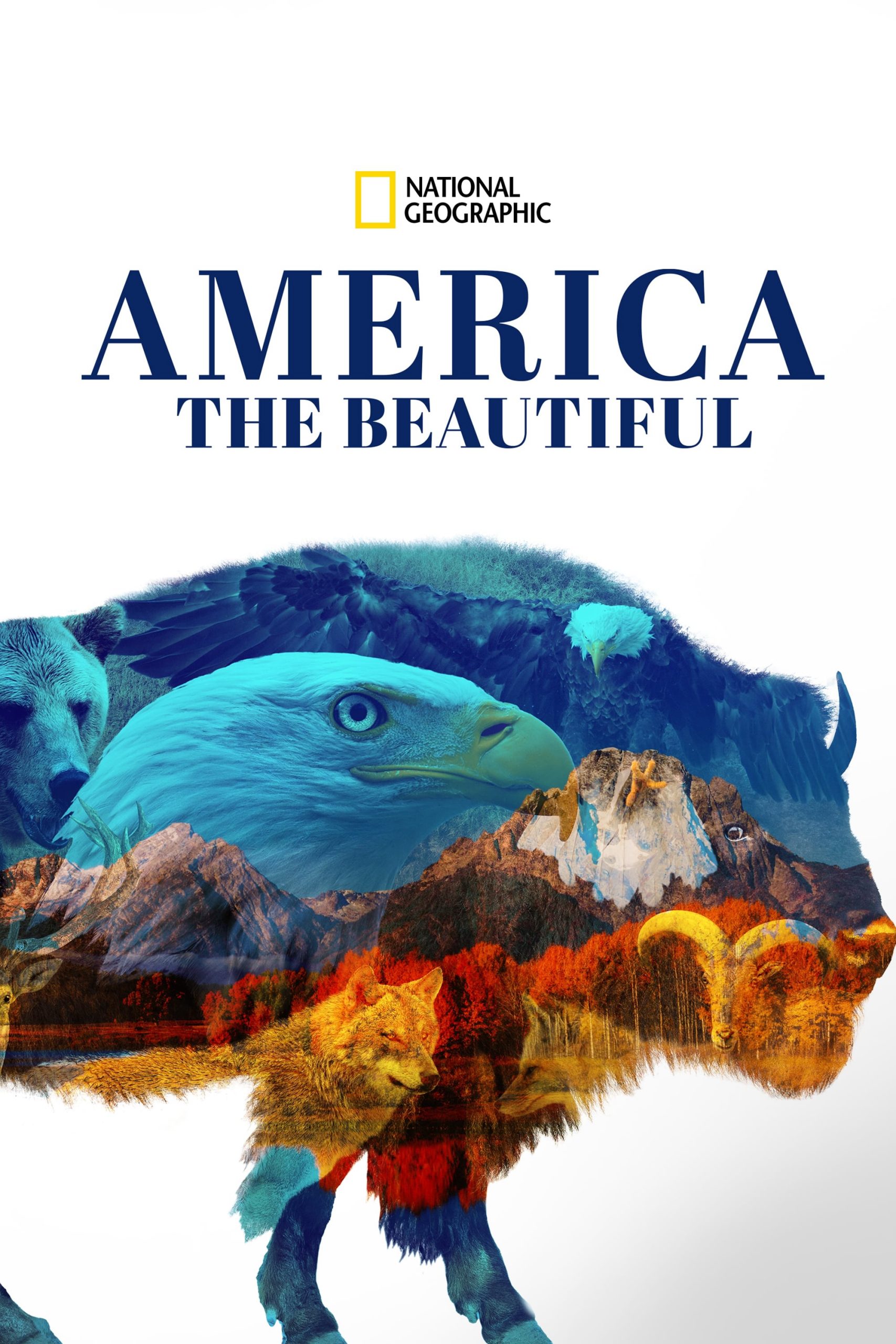 Poster phim America the Beautiful