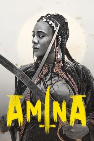 Poster phim Amina