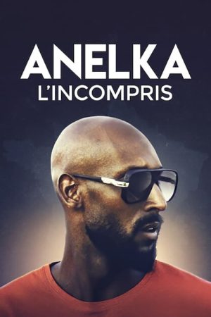 Poster phim Anelka: Hiểu lầm