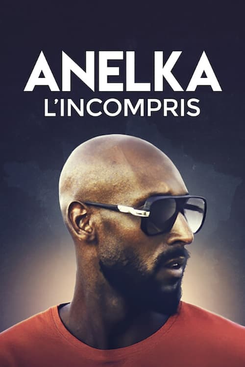 Poster phim Anelka: Hiểu lầm