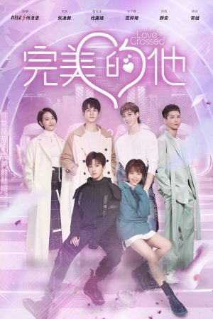 Poster phim Chàng Trai Hoàn Hảo