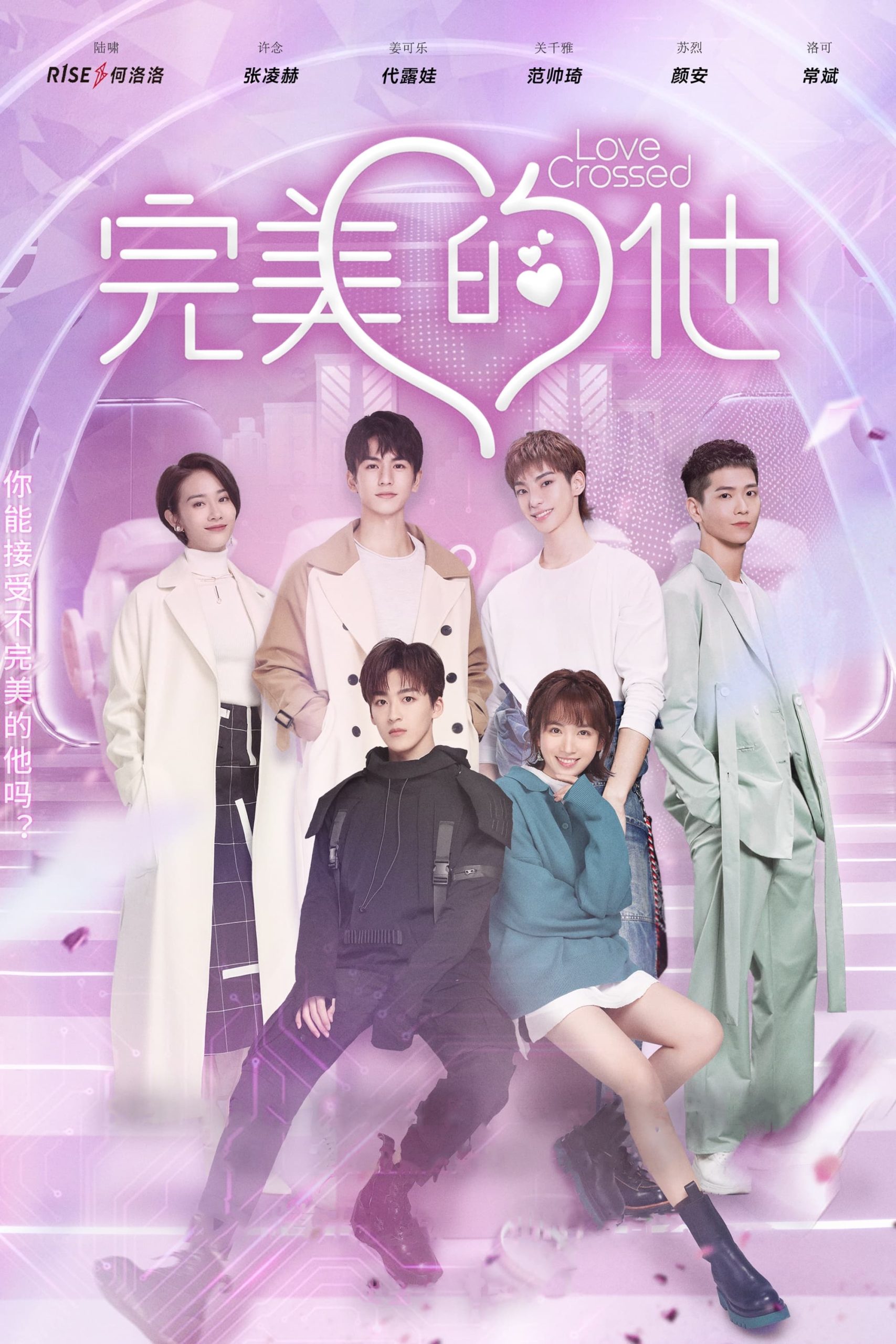 Poster phim Chàng Trai Hoàn Hảo