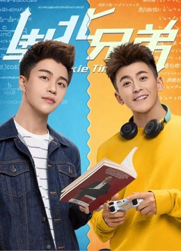 Poster phim Anh em Nam Bắc