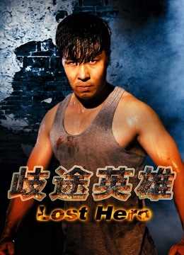 Poster phim Anh hùng lạc lỗi