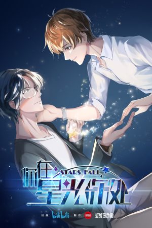 Poster phim Stars Fall
