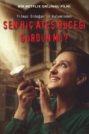 Poster phim Ánh sáng của đom đóm