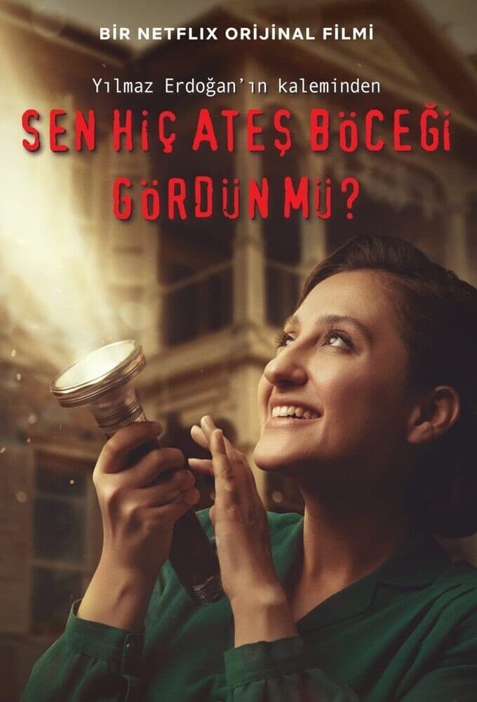 Poster phim Ánh sáng của đom đóm
