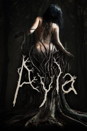 Poster phim Ayla