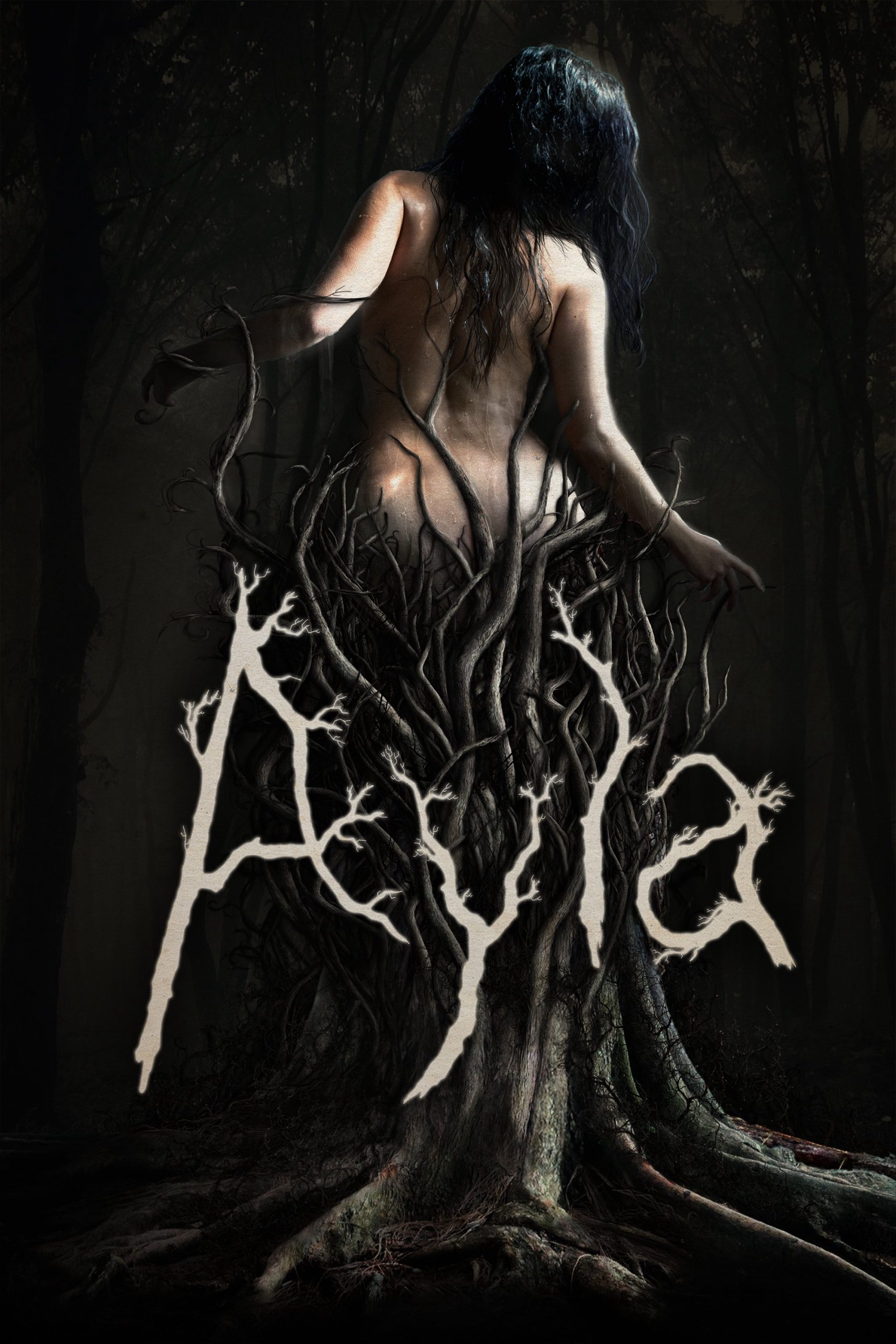 Poster phim Ayla