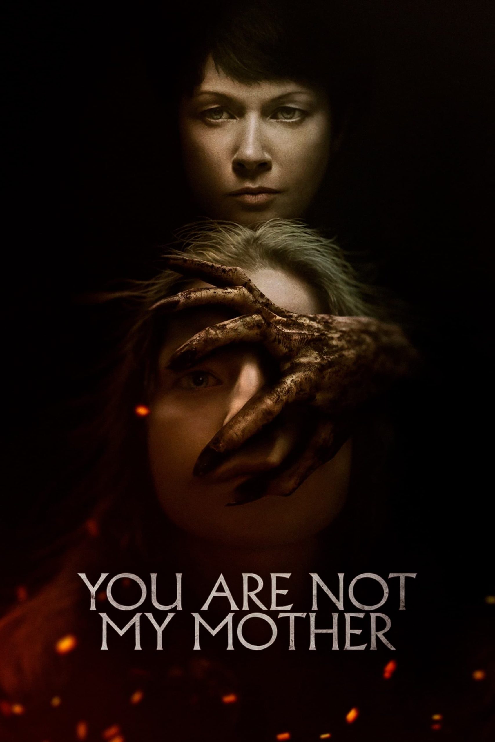 Poster phim Bà Ấy Không Phải Mẹ Tôi