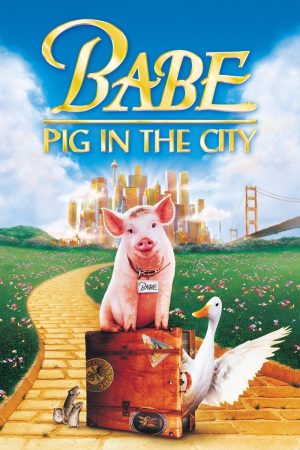 Poster phim Babe: Heo vào thành phố
