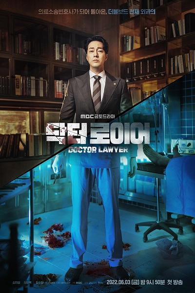 Poster phim Bác Sĩ Luật Sư