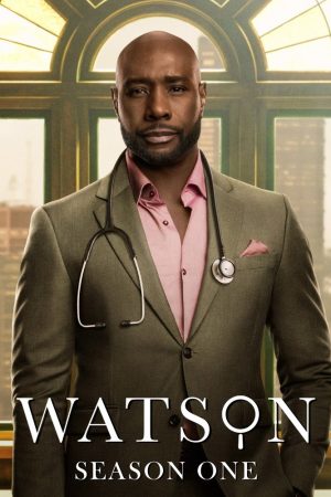 Poster phim Bác Sĩ Watson (Phần 2)