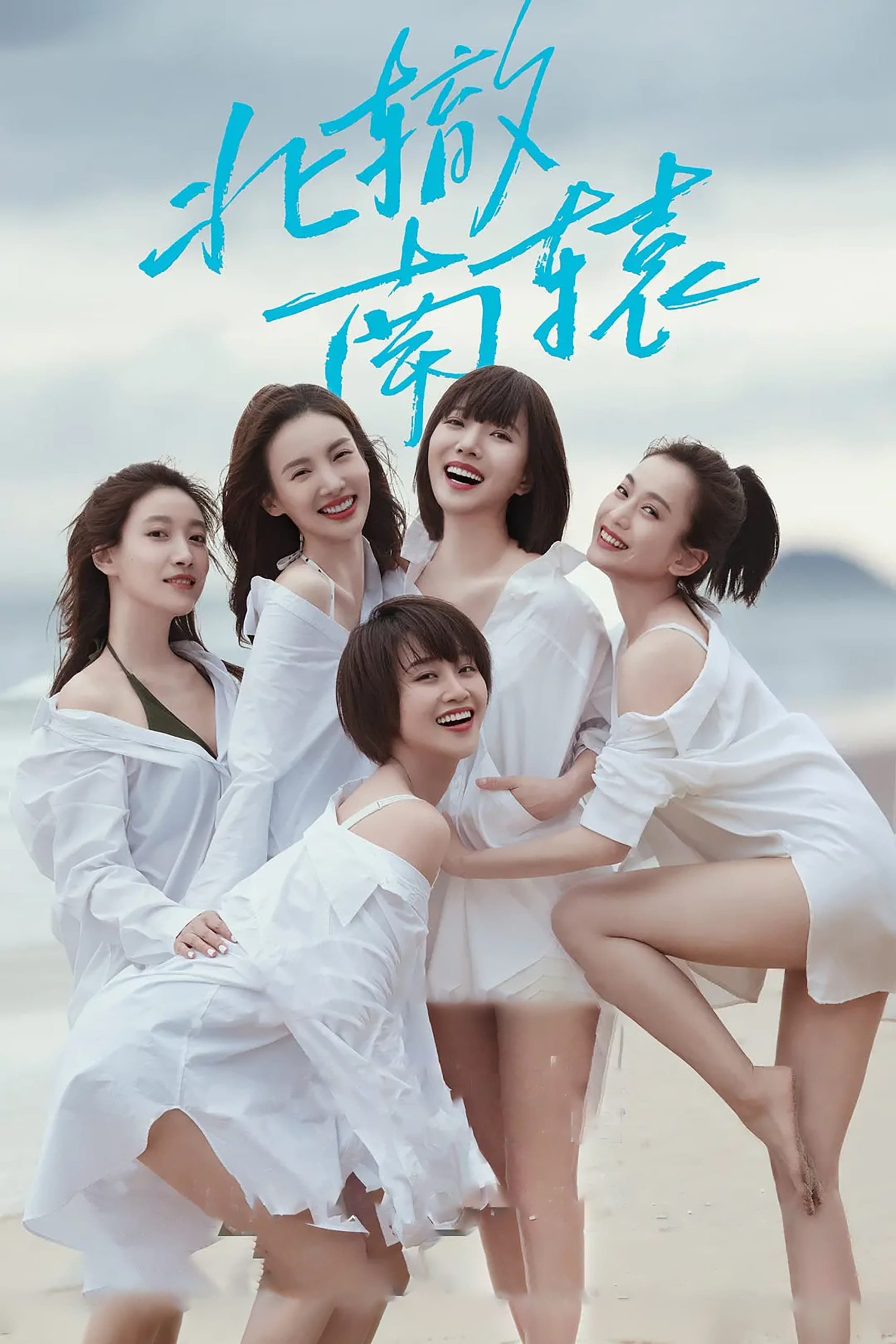 Poster phim Bắc Triệt Nam Viên