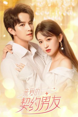 Poster phim Bạn Trai Hợp Đồng
