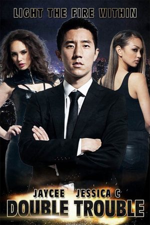 Poster phim Bảo Đảo Song Hùng