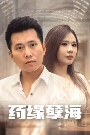 Poster phim Báo Thù Của Thần Y (Chàng Rể Thầy Thuốc)