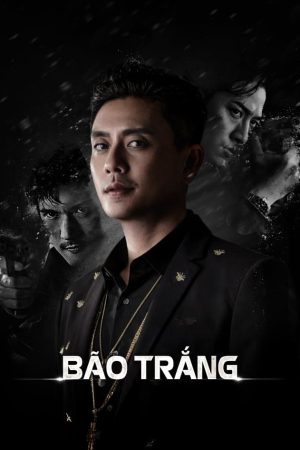 Poster phim Cơn Bão Trắng
