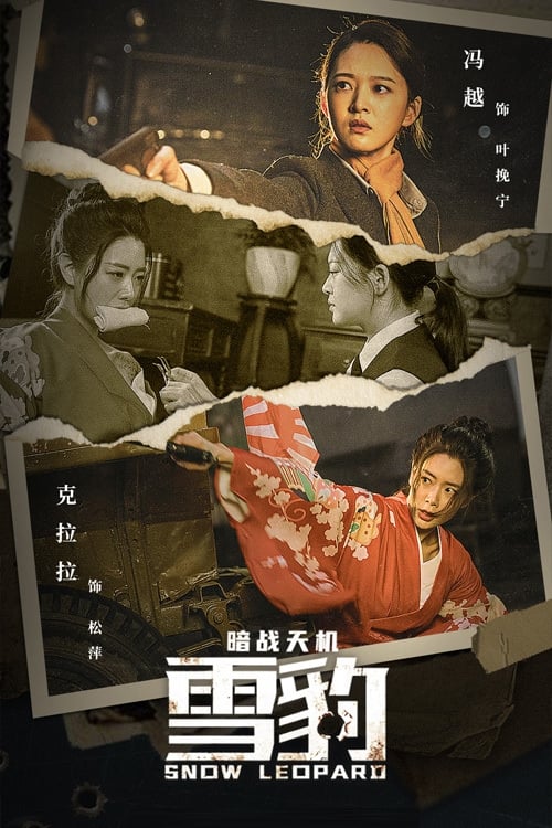 Poster phim Báo Tuyết: Ám Chiến Thiên Cơ