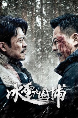 Poster phim Bão Tuyết