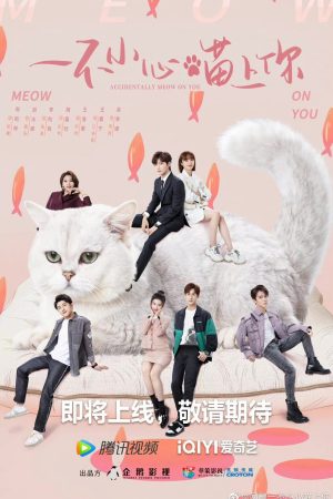 Poster phim Bất Cẩn Meow Phải Anh