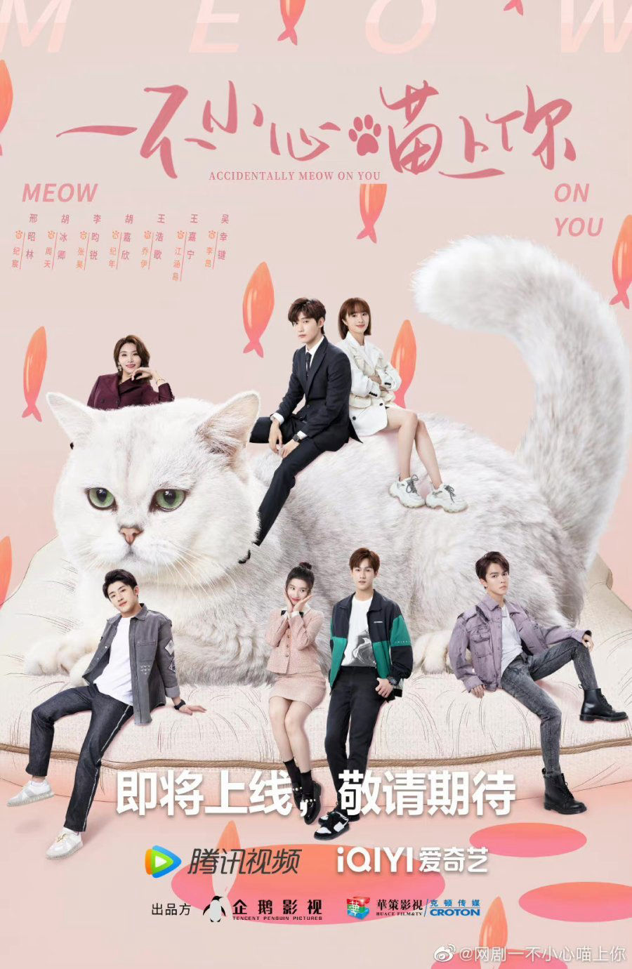 Poster phim Bất Cẩn Meow Phải Anh