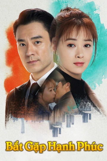 Poster phim Gặp Gỡ Hạnh Phúc