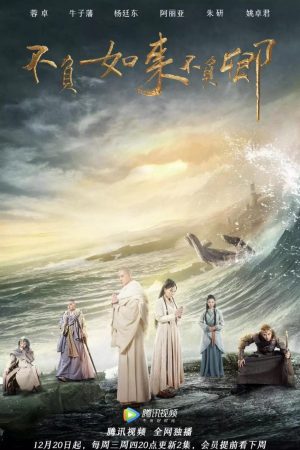 Poster phim Bất Phụ Như Lai Bất Phụ Khanh