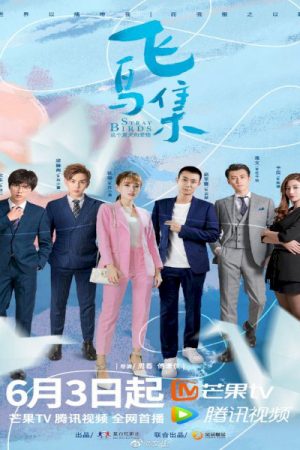 Poster phim Bầy Chim Lạc