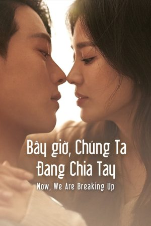 Poster phim Bây Giờ, Chúng Ta Đang Chia Tay