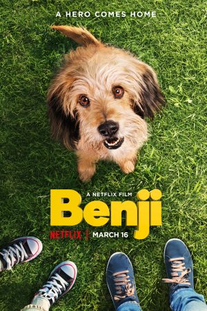 Poster phim Benji