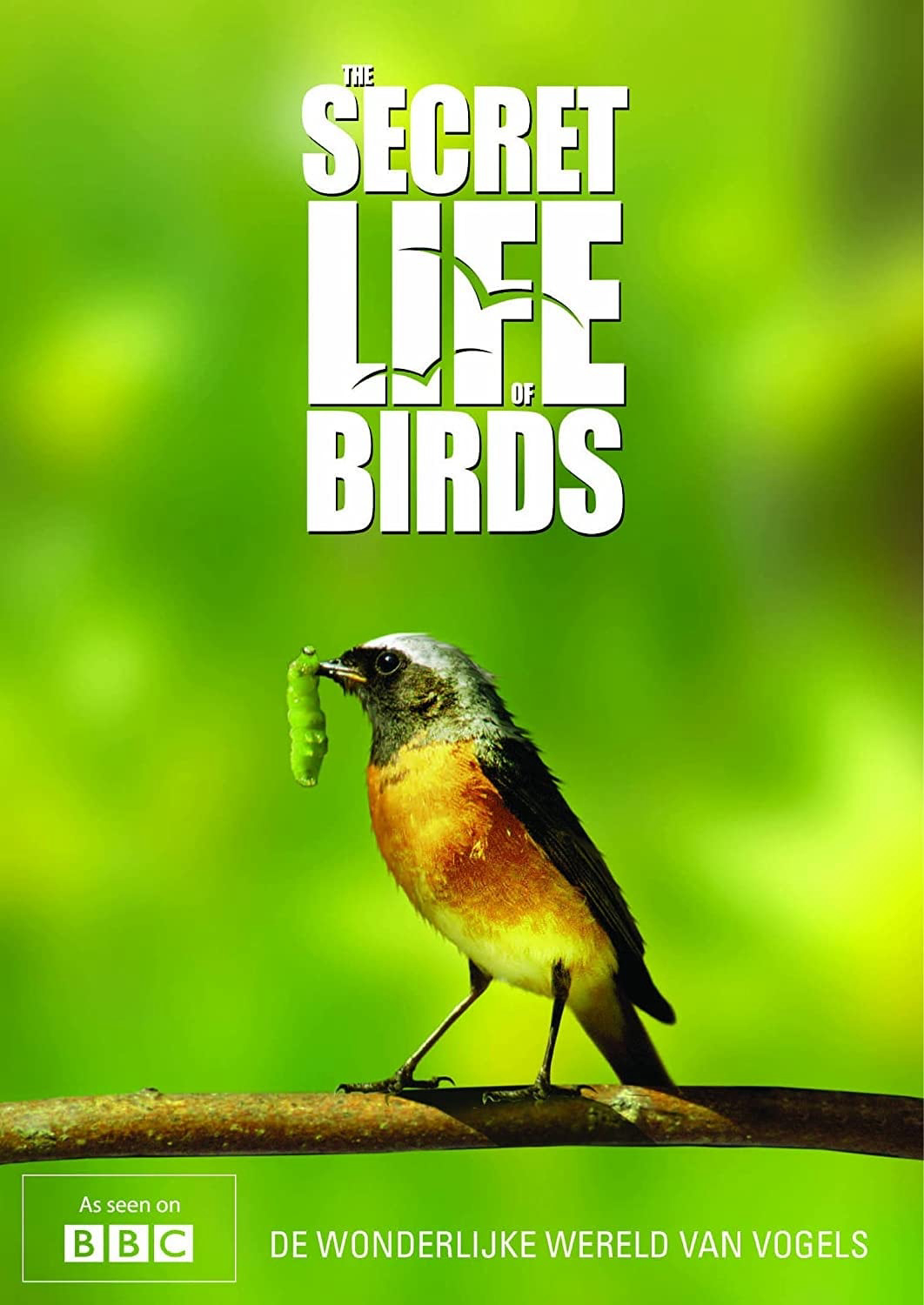 Poster phim Bí ẩn cuộc sống loài chim