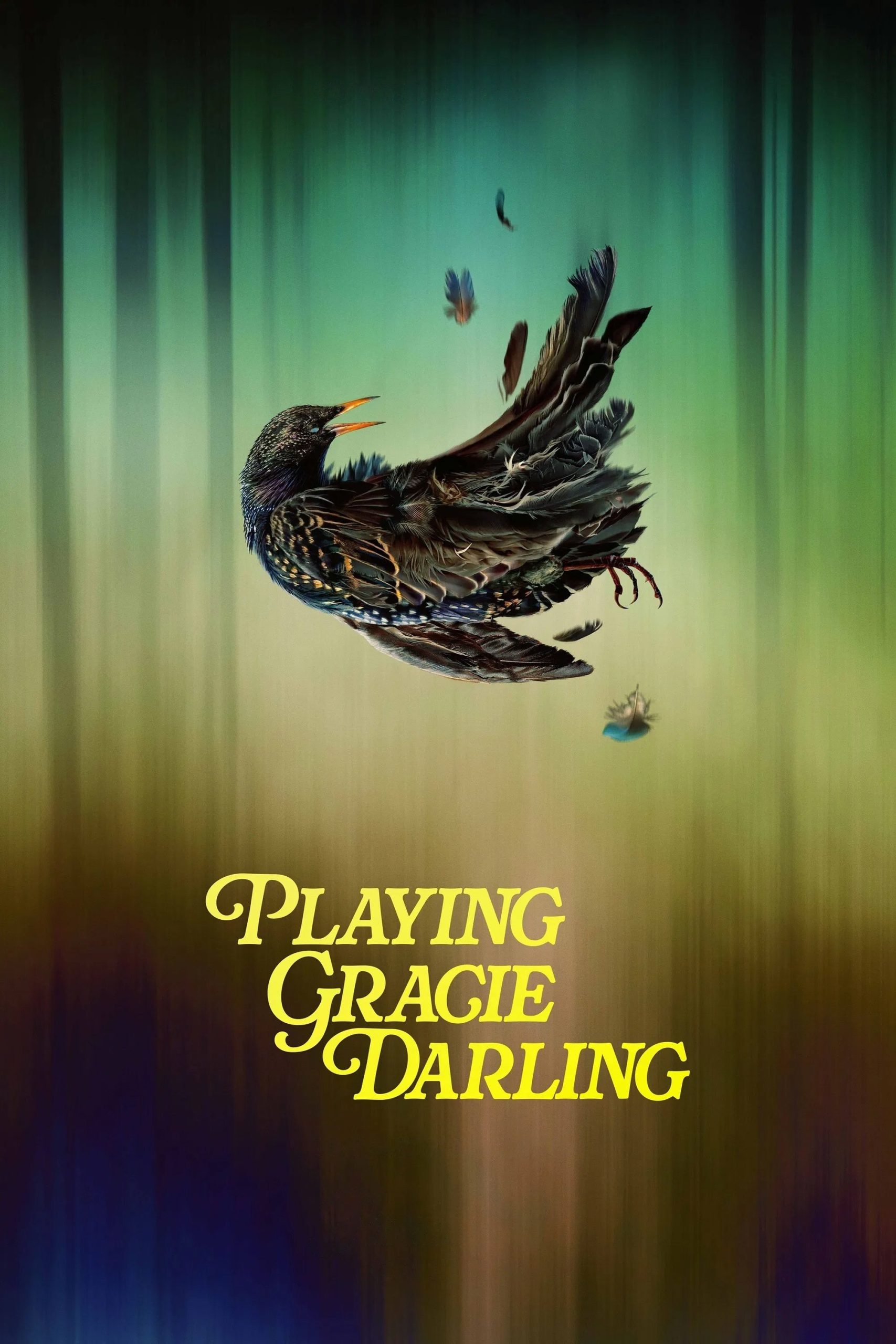 Poster phim Bí Ẩn Trò Chơi Gracie Darling