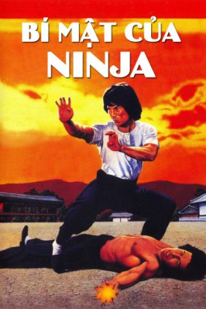 Poster phim Bí Mật Của Ninja