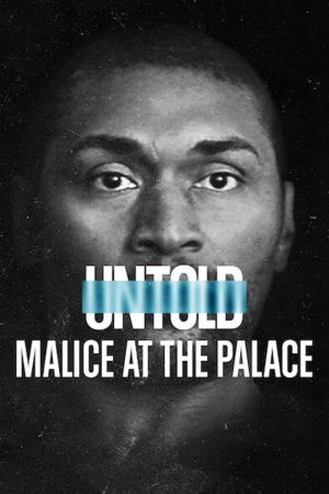 Poster phim Bí mật giới thể thao: Ẩu đả NBA tại Palace