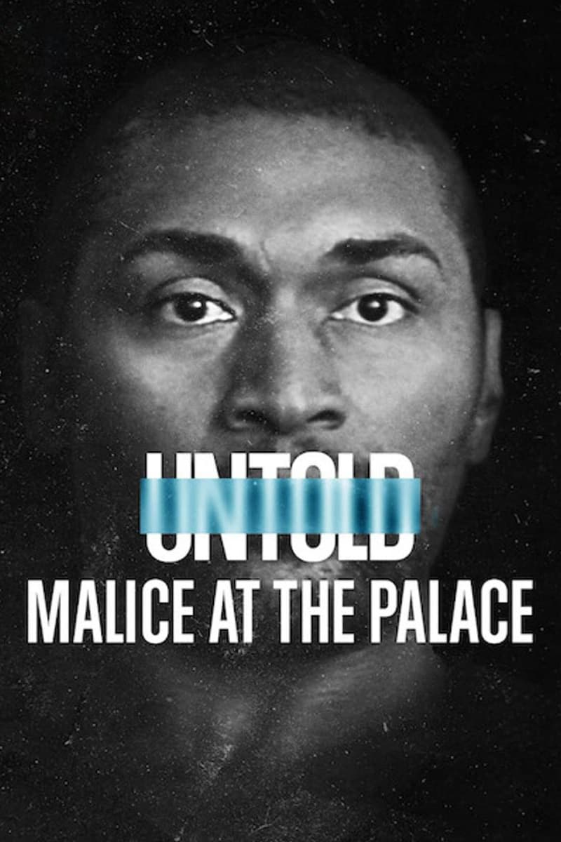 Poster phim Bí mật giới thể thao: Ẩu đả NBA tại Palace