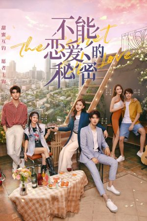Poster phim Bí Mật Không Thể Yêu