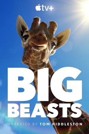 Poster phim Big Beasts
