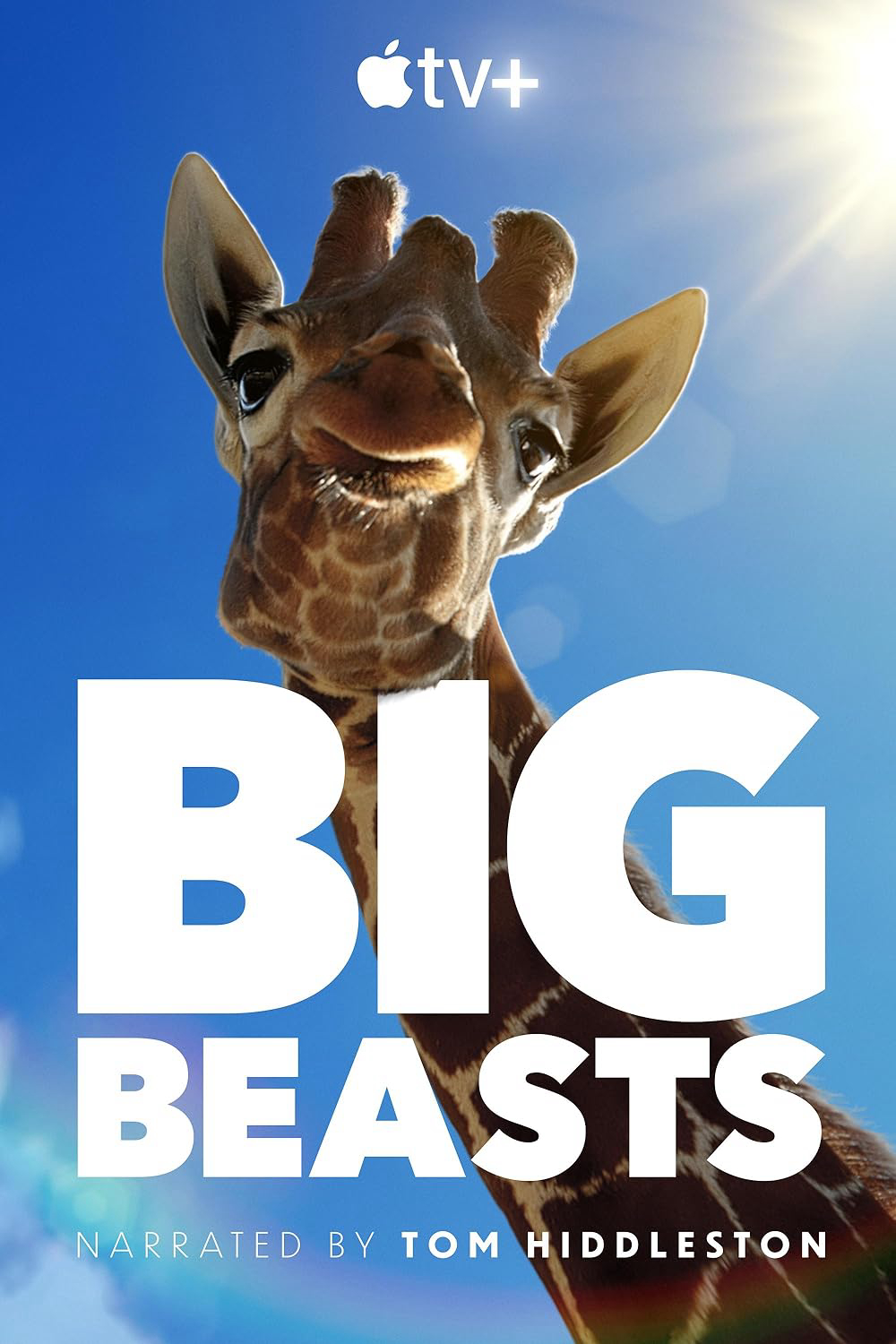 Poster phim Big Beasts