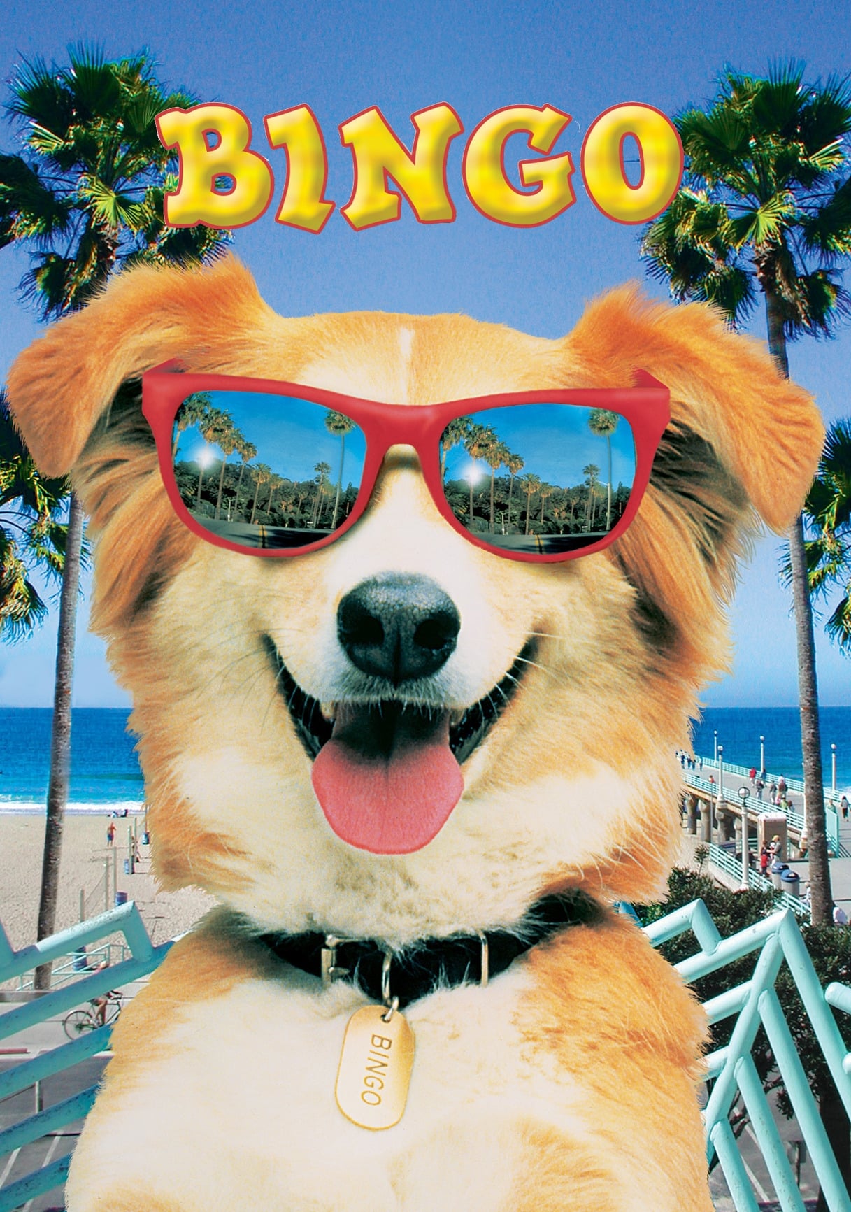 Poster phim Bingo