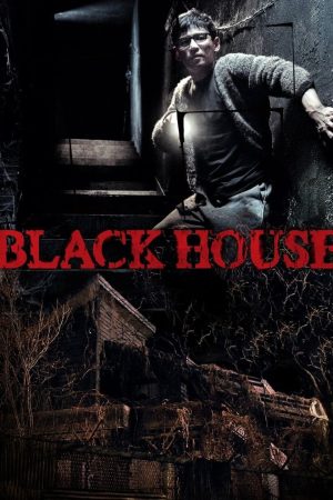 Poster phim Black House